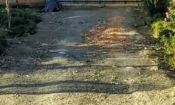 Imagem 2: Pequeno sitio Chácara com venda por R$270.000