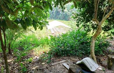 Imagem 6: CASA COM SÍTIO Chácara com venda por R$200.000