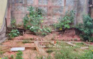 Imagem 2: Terreno à venda em Butantã, São Paulo - SP