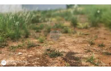 Imagem 5: Terreno à venda com 200m² em Limeira, SP - Jardim Marajoara