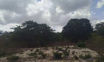 Imagem: 2 terrenos 6x28