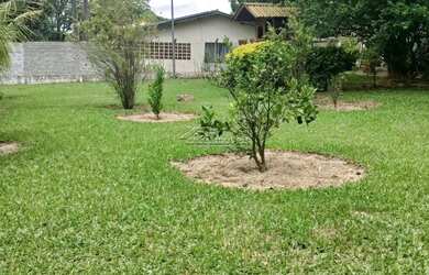 Imagem 4: CHACARA A VENDA EM MONTE MOR SP