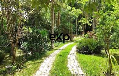 Imagem 5: LINDA CHÁCARA EM BALSA NOVA