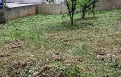 Imagem 5: Terreno no Arruda colombo ótima localização