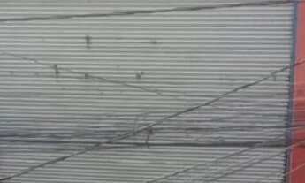 Imagem: Galpão em Cumbica prox ao Aeroporto