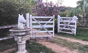 Imagem 2: Oportunidade 13 Alqueires