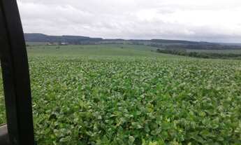 Imagem 2: Vende se Linda Fazenda 95,19 alqueires