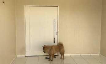 Imagem: Imóvel à venda