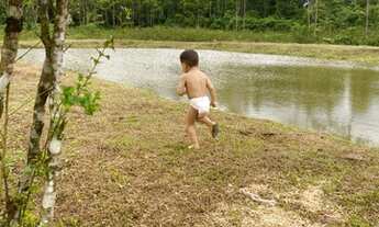 Imagem 3: Fazenda a 25 km de Feijo