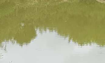 Imagem 4: Fazendas Terreno / lote com venda por R$259.000