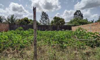 Imagem 3: Chão de casa 7×23