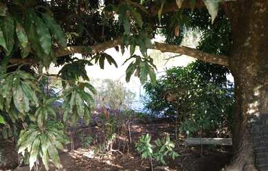 Imagem 5: Pesqueiro a venda no bairro de Batatuba em Piracaia-SP