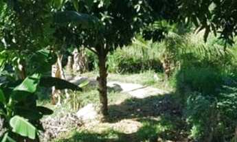 Imagem 6: Lote/terreno à venda em Fundão