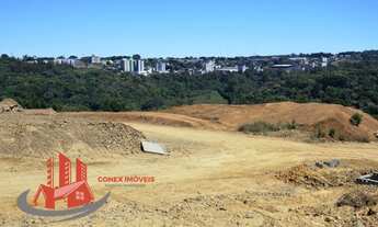 Imagem 2: CAXIAS DO SUL - Terreno Padrão - São Luiz