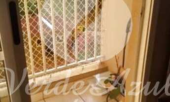 Imagem 4: Apartamento - Bonfim - Campinas