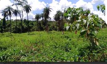 Imagem 2: Lindas fazendinhas de terra e cultura a partir de 20 mil m próximo parada do elefante