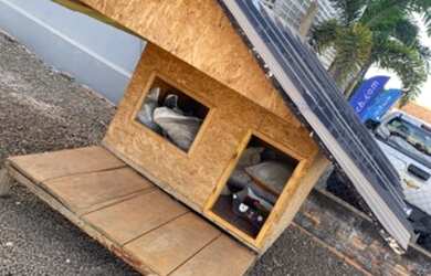 Imagem 3: Casinha Casa com venda por R$1.250