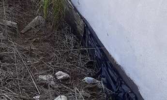 Imagem 3: Terreno c/ 303 m" Jardim primavera