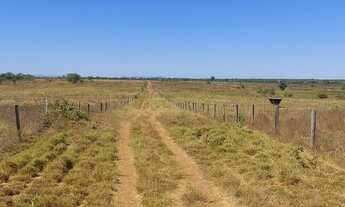 Imagem 12: Fazenda p/ Arrendamento de Soja. 1070 há. No Goiás