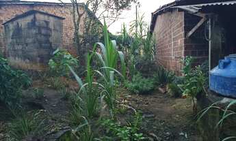 Imagem 3: Vendo uma coisa na Vila Tibiri