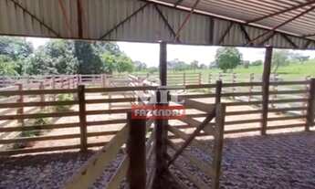 Imagem 4: Fazenda 303 alqueires (1467 hectares) Vila Propício-GO