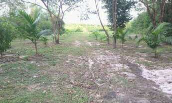 Imagem 6: Sítio com igarapé