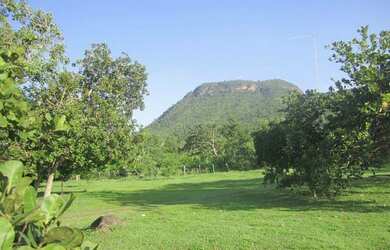 Imagem 3: VENDE CHÁCARA Fazenda / sítio com venda por R$4.700.000