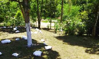 Imagem 6: Troca Chácara Campo Magro, prox. Morro Palha, doc.100%, casa mista,87.984m²