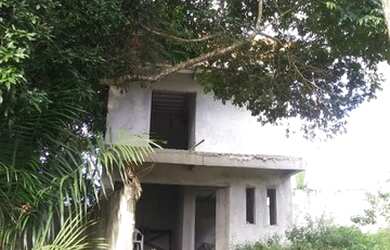 Imagem 7: Casas em área verde