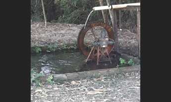 Imagem 3: Fazenda - Hidrolândia (GO