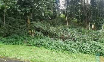 Imagem 4: Ótimo Lote de Terreno