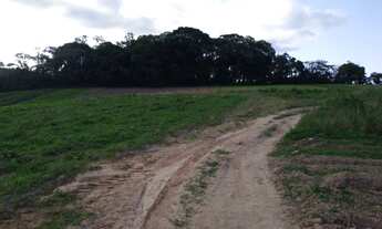 Imagem: Lote/Terreno para venda possui 500 metros