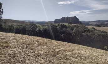 Imagem 4: Terreno rural Terreno / lote com venda por R$290.000