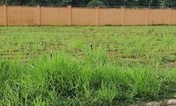 Imagem 4: Excelente lote plano no Alphaville litoral norte 3