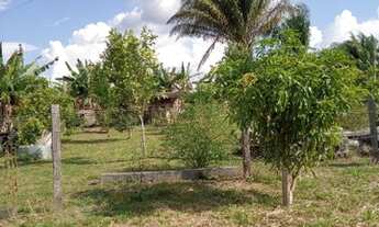 Imagem 5: Vendo chácara Chácara com venda por R$100.000