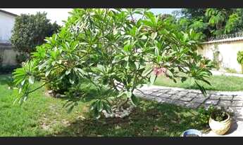 Imagem 2: Linda casa no Coqueiral - Araruama - RJ