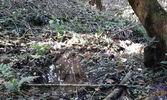 Imagem 2: CHÁCARA FAZENDA SOUZA