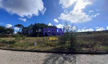 Imagem: Terreno com 3 Dormitorio(s) localizado(a)