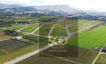 Imagem 6: Terreno à venda, 364 m² por R$ 145.800,00 - Guarda do Cubatão - Palhoça/SC