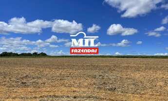 Imagem 3: Fazenda 516 Alqueires ( 2.501 hectares )- Sao Luiz do Norte GO