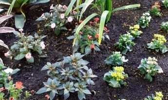 Imagem 5: Porto Alegre - Apartamento Padrão - Menino Deus