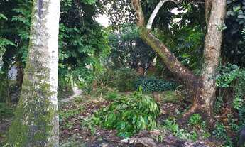 Imagem 4: Vendo uma coisa na Vila Tibiri