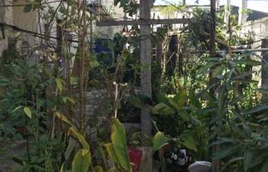 Imagem 4: VENDA!! TERRENO 250 MTS-JD.SÃO LUIZ