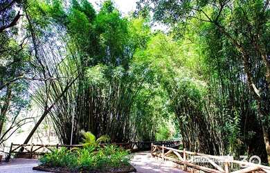 Imagem 4: Terreno no condomínio Saint Patrick