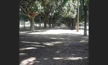 Imagem 7: Fazenda - Hidrolândia (GO