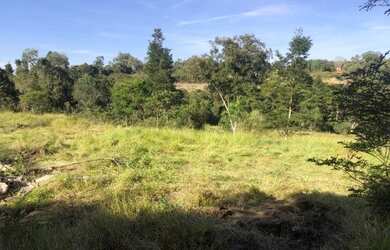 Imagem 2: Lindas chácaras 1.000 mts planas em Caete-água e luz pronto para construir perto do asfalt