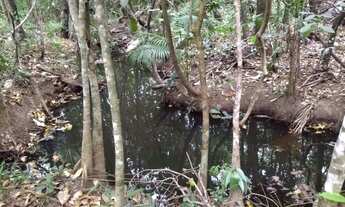 Imagem 6: Chácara 12 Alqueires em Pirenópolis Goiás