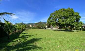 Imagem 5: Lotes de 302 m2 limpos e com documentação OK na estufa 2