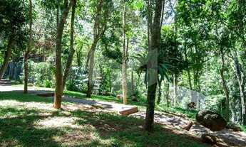 Imagem 2: Muito verde e natureza exuberante