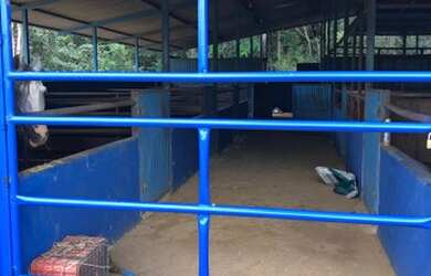 Imagem 4: Linda Chácara em Planaltina- DF